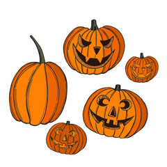 Halloween  pumpkins. Vector  illustration.