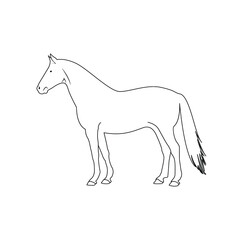 Obraz na płótnie Canvas Horse Design Art 