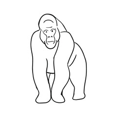 Gorilla Design Art 