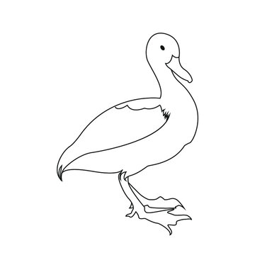 Duck Design Art 