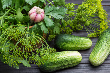 Fresh cucumbers and cherries among dill and parsley.