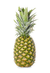 Fresh pineapple with different rings on white background