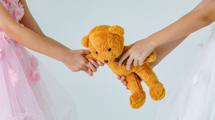 Close up studio shot of fluffy furry orange teddy bear doll was arms pulled by hands of two girl...