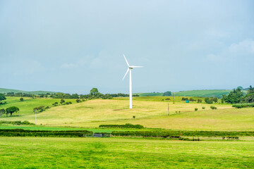 Fototapeta premium Rural Pembrokshire in Wales