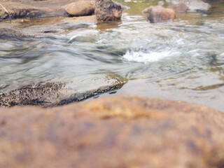 Cascades of water in the island of Sri Lanka
