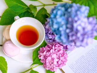 A cup of tea surrounded by hydrangea flowers, with pink marshmallows and an open book. Summer mood, tea party concept. top view