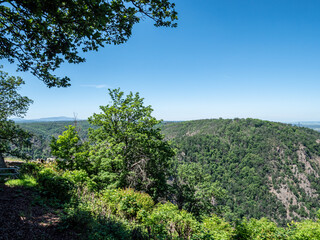 Blick über den Nationalpark Harz im Sommer