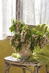 Acacia flowers in white vase. Still life wit acacia flowers on vintage shair.