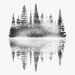 Coniferous forest reflected in water, black and white landscape  © Valerii