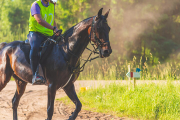 Competitor rival girl riding horse in summer field meadow.Young rider gallops through the summer...