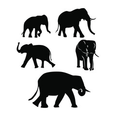 Collection of Elephant Silhouette Illustration Vector Images