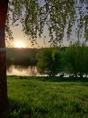 summer sunset on the river and the birch tree