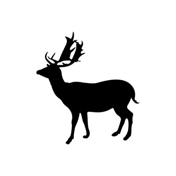 The silhouette of a deer with horns is a wild animal of the family of artiodactyl mammals on a white background.