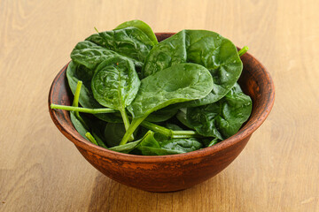 Fresh green spinach leaves in the bowl