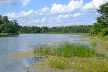 Beautiful landscape with lake in sunny summer day. Northwest Europe. Eco-tourism. Horizontal view. Wallpaper.  