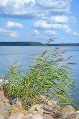 Beautiful landscape with lake in sunny summer day. Northwest Europe. Eco-tourism. Vertical view