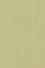 和風ストライプ柄　淡いくすみグリーン　縦
