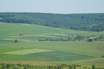 Beautiful summer countryside landscape in Europe