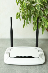 Wi-Fi router and plant on gray textured table