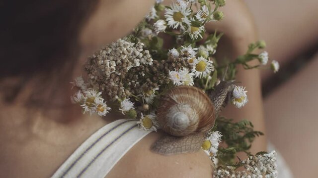 Close-up of snail slowly crawling along shoulder of young girl. Woman holding bouquet of wild flowers or daisies in her hands. Snail leaves muscus on skin. Concept of nature, cosmetology, spa, beauty.