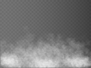 Fototapeta Fog or smoke isolated transparent special effect. White vector cloudiness, mist or smog background. Vector illustration obraz