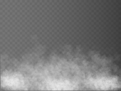 Fog PNGs for Free Download