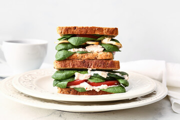 Plate with tasty sandwiches on light background, closeup