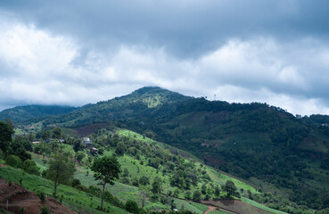 Fototapeta na wymiar cloud covered the mountain peak in the north of Thailand.