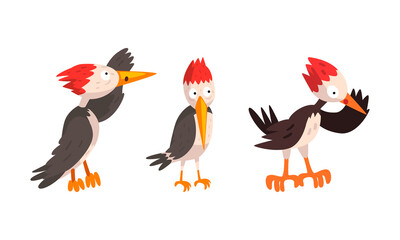 Funny Woodpecker Bird Character Set, Comic Woodland Bright Bird Cartoon Vector Illustration