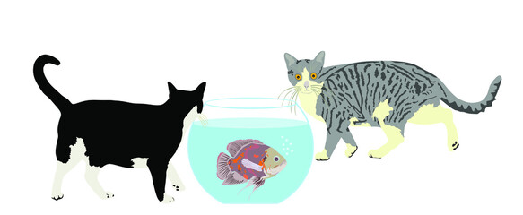 Two hungry cats walking around Oscar fish in fishbowl aquarium vector illustration isolated on white background. Home pet, curious cat and scared fish.