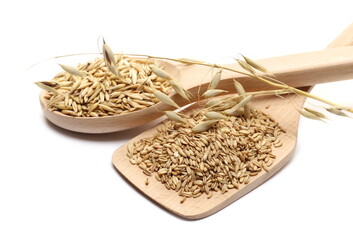 Oat ears, unpeeled and peeled groats pile with wooden spoon isolated on white background with clipping path