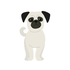 Obraz na płótnie Canvas Pug dog. Cute dog character. Vector illustration in cartoon style for poster, postcard.