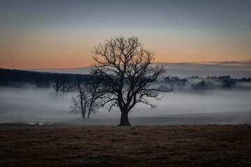 misty morning sunrise