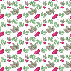 Watercolor beet seamless pattern on a white background. Hand-drawn vegetable endless print. Beetroot illustration. Fresh harvest backdrop. Radish wallpaper. Tablecloth print.