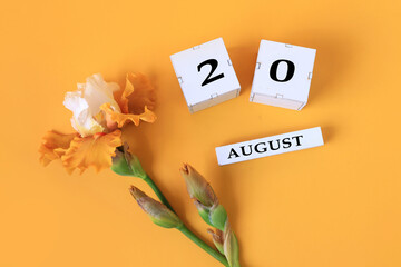 Calendar for August 20 : the name of the month of August in English, cubes with the number 19, yellow iris on a yellow background, top view