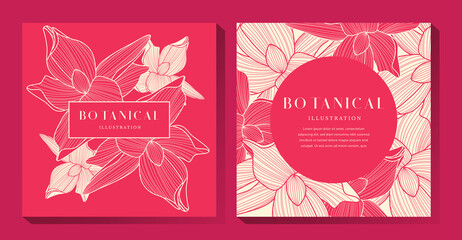 Pink Botanical Illustration