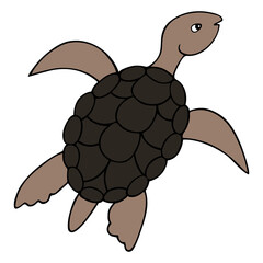 Turtle. Colored vector illustration. Marine reptile with shell. Waterfowl turtle with an oval shell. Isolated white background. Cartoon style. Ocean dweller. Idea for web design, books.