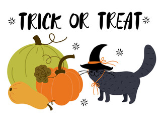 Obraz premium Cute doodle black cat wearing witches hat with pumpkins and squash, hand written lettering - trick or treat, vector clip art