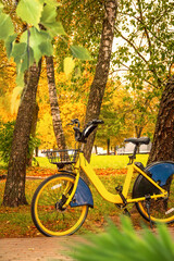 Fototapeta premium The bike stands on the road in the autumn city park.