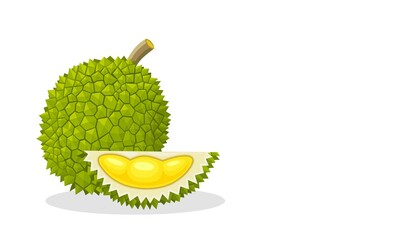 Vector illustration, durian fruit isolated on white background with space for your text. © Arif_Vector