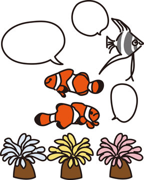 1 659 Best イソギンチャク Images Stock Photos Vectors Adobe Stock 1 659 Best イソギンチャク Images Stock Photos Vectors Adobe Stock