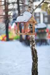 bird feeder in winter on a tree