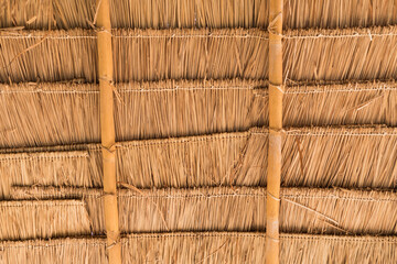 Asian dry grass roof pattern