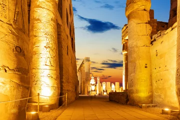 Foto op Plexiglas Columns of the Temple of Luxor, night illumination, Egypt © AlexAnton