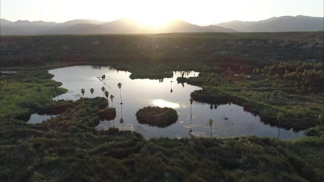 Santiago BCS, M&eacute;xico. (Oasis)