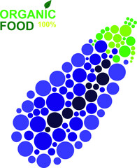 organic food eggplant natural