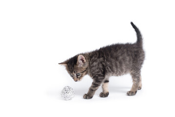 Fototapeta na wymiar Adorable gray cat playing with aluminium foil ball. Cat isolated on white background