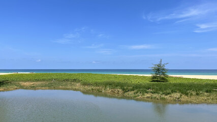 Two lines of water - fresh and salty. Sea and river. The river is in the foreground, the sea is in the background. Blue sky with several white clouds. Yellow sand, green grass. Lonely coniferous tree 