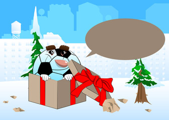 Soccer ball in a gift box. Traditional football ball as a cartoon character with face.