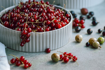 Ripe red and black currants, gooseberries, round cups with berries on a gray background. Summer harvest of fruits, supplies for the winter